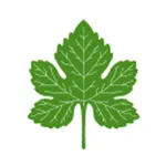 Grapeleaf Mediterranean Grille icon