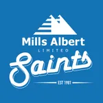 Wellington Saints icon