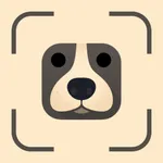 DogCare - Dog Breed Identifier icon