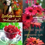 Все открытки icon