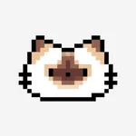 猫孕-快速简洁的猫孕记录工具 icon