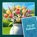 Pic Solitaire icon