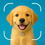 Dog Breed Scanner: Identifier icon