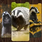 Honey Badger Wallpapers icon