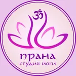 Йога студия Прана icon