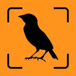 Bird Identifier - Ornithology icon