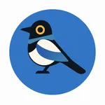 Sae: Learn Korean Fast icon