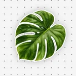 Flower Identifier: Bloomsnap icon