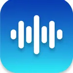 RecordinGo icon