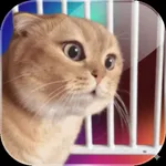 animated cool cat stickers icon