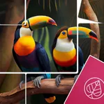 Jigmatch Block: Puzzle Game icon