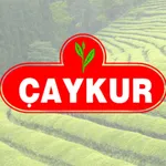 Çaykur Bandrol Sorgulama icon