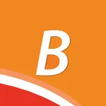 De BarneveldApp icon