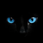 Dark Amoled Wallpaper 4K icon