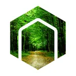 集客の森 icon