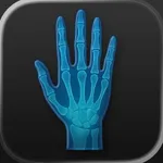 Anatomy & Physiology AI Solver icon