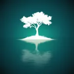 At The Still Point icon