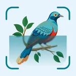 Bird Identifier: Parrot-Pigeon icon