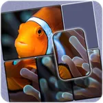 Puzzle Solitaire: Offline Game icon