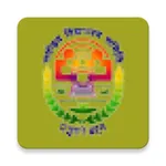 NVS Principal icon