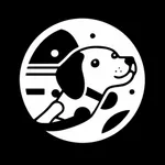 Evie - Get paid to party icon