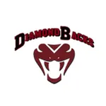 Dutton / Brady Schools icon