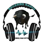 Becerro Radio icon