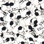 Stamp Wallpaper icon