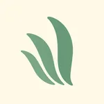 Insight: Your Growth Companion icon