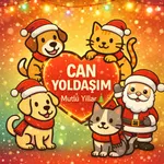 Can Yoldaşım icon