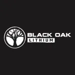 BLACK OAK Lithium icon