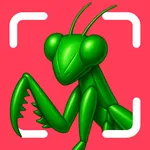 Bug Identifier - Bugzy icon