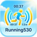 Running 530 icon