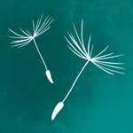 Фонд Вера icon