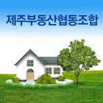 제주부동산협동조합 icon