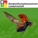 Nützlinge im Garten icon