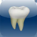 CGM VISODENT 3D App icon