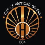 Hammond 311 icon