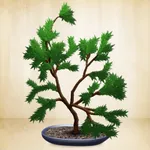 Make a Bonsai icon