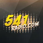 541 Radio icon