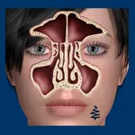 Sinus ID icon