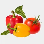 川菜辣味菜谱大全 icon
