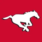 Calgary Stampeders icon