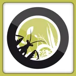 App BV Móvil icon