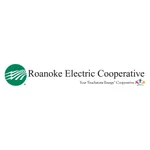 Roanoke EMC icon