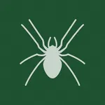 Solitaire / Spider icon