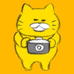 Stray Cats Camera icon