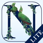 Newman’s Birds of Africa LITE icon