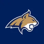 Montana State Bobcats icon