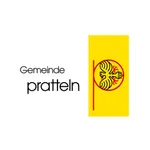 Pratteln icon